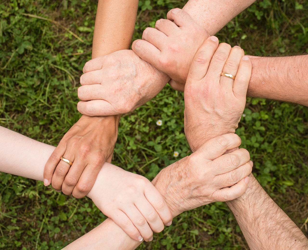 Family Support Resources for Autism in North Carolina