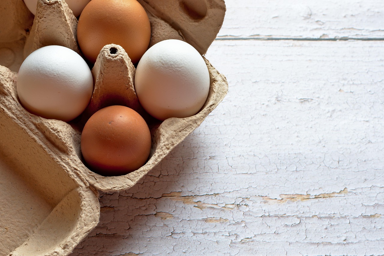 Frozen Donor Eggs: The Complete Guide for Intended Parents