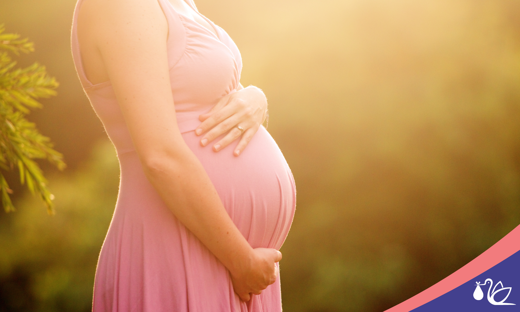 The journey of an egg donor - step by step process